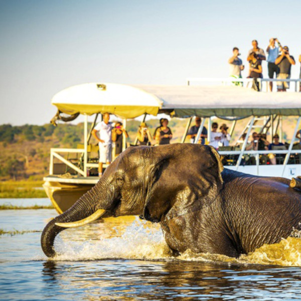 Popular Destinations-Zambezi